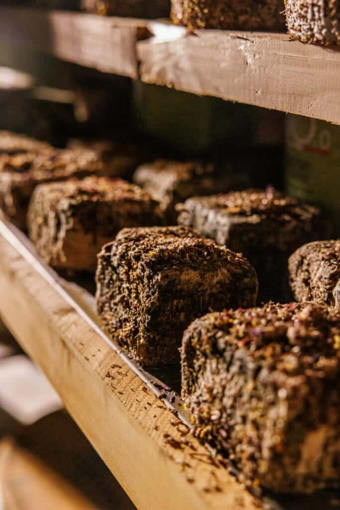 Rome Street Food Tour by Golf Cart